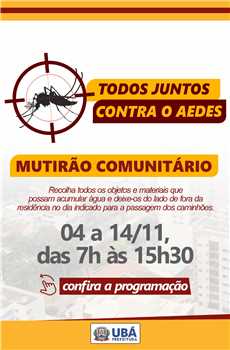 Mutirão AEDES